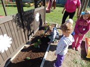 Zakládáme bylinkovou zahrádku